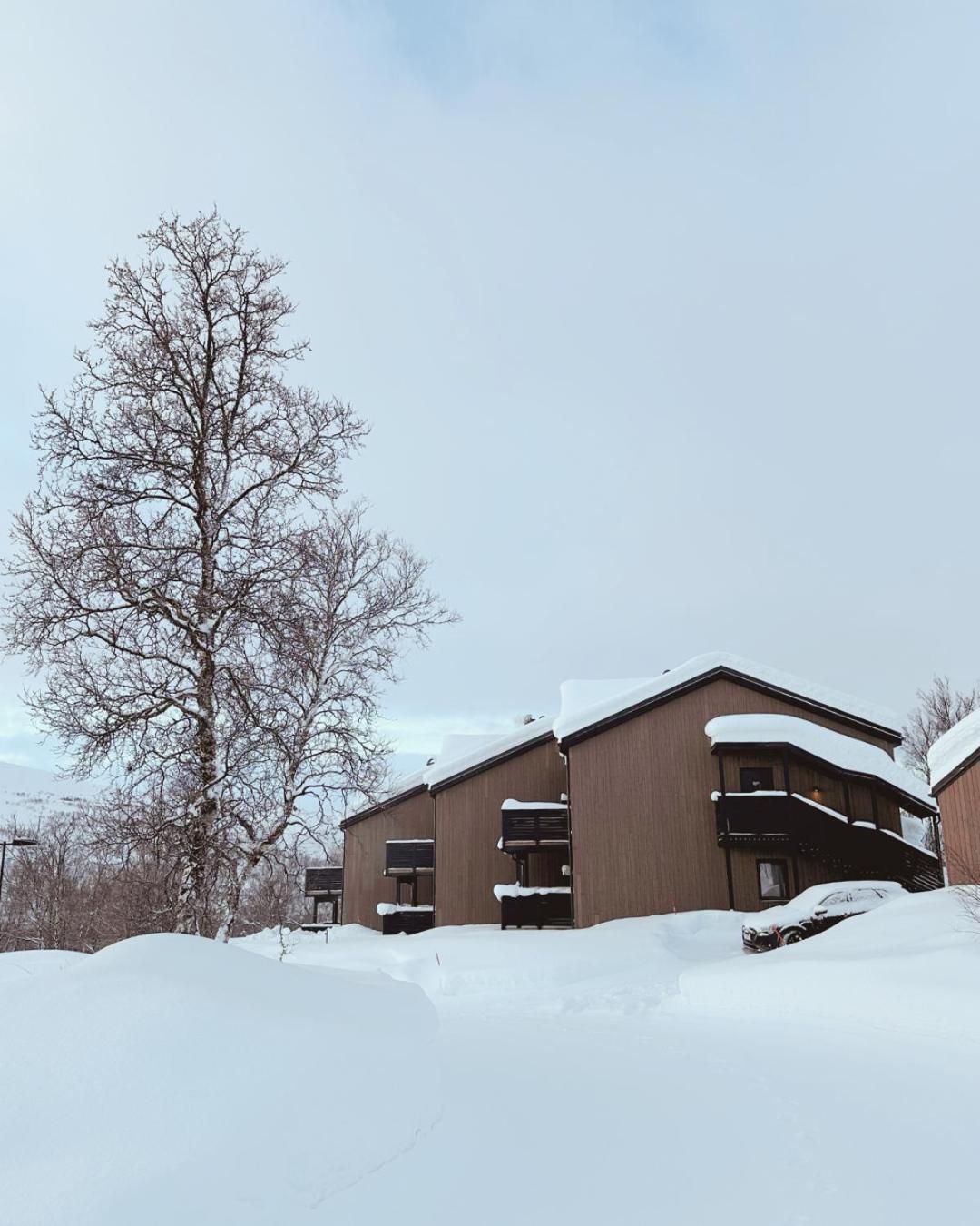 Skaidi Luxury Lodge - Heart Of The Arctic Hammerfest Extérieur photo